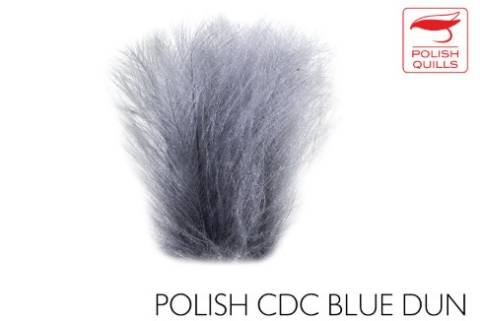 Polish Quills CDC